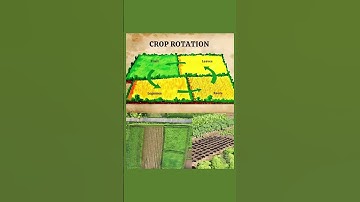 🌱 Crop Rotation: The Secret to Healthy and Productive Soil 🌱