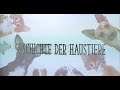 Die 3B erklärt die Welt - "Die Geschichte der Haustiere" (Marlene)