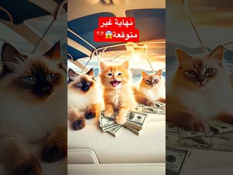 القط مياو يربح في اليناصيب ويصبح مليونيرا ولكن النهاية صادمة Cat Ai Funny Shorts Sad