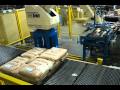 Chantland MHS EC201 Fuji Robotic Bag Palletizer