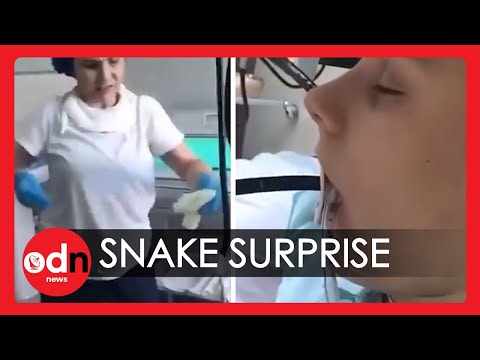 Horrific! 4ft Snake Pulled From Woman’s Throat after it Slithered Inside her while she Slept