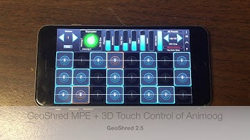 Application Note #11: GeoShred Controlling Animoog