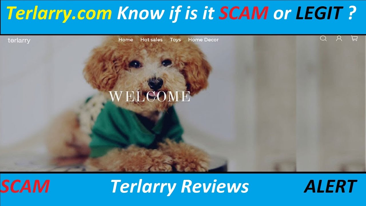 SCAM or LEGIT ? Realistic Teddy Dog 