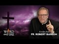 Bishop Barron on Lent