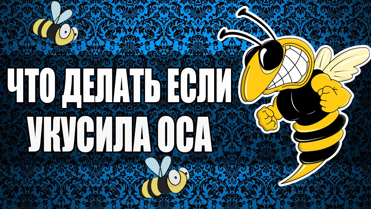 Картинки по запросу mosquitos en tu alcoba [book]