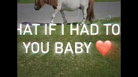 Vinkle Video my 1st ever music video