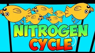How to Cycle a Fish Tank - The Nitrogen Cycle by Super Scienced 10,419 views 4 years ago 3 minutes, 26 seconds