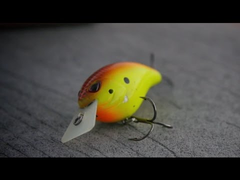 A Silent, Deadly Squarebill For The Fall 