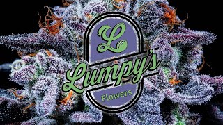 Lumpy’s Flowers: NorCal’s TRUE craft cannabis legacy brand screenshot 4