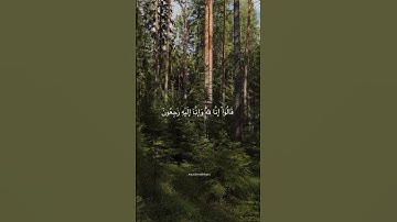 اكتب شيء تؤجر عليه ✨   #اكسبلور #fyp #الفرقان #quran #explore #لايك#سورة_البقرة #وبشر_الصابرين