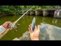 JON BOAT FISHING TOURNAMENT! Catching DEEP Summer Bass