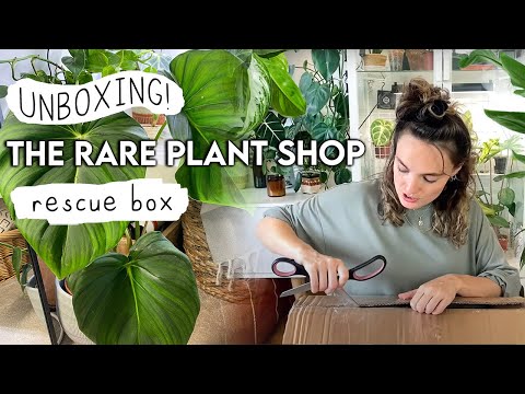 The Rare Plant Shop HAUL ? Houseplant Rescue Box Unboxing of Rare Plants ?