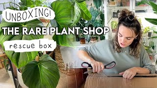 The Rare Plant Shop HAUL  Houseplant Rescue Box Unboxing of Rare Plants