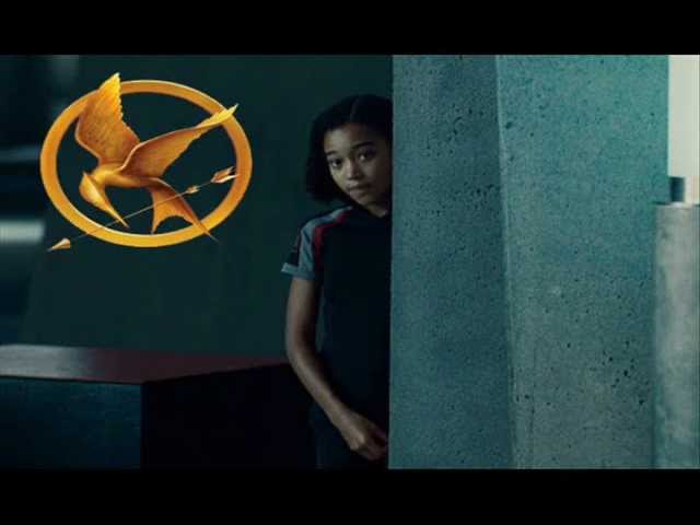 I volunteer as tribute to watch The Hunger Games on Netflix – The Talon