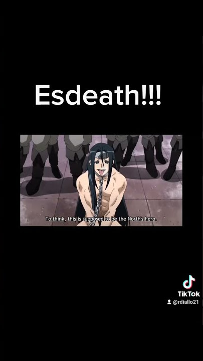 Yo... kicks in anime be hittin' different my god... 😱🙏😱🔥💯 #anime  #AOT #Levi #Esdeath #Akamegakill