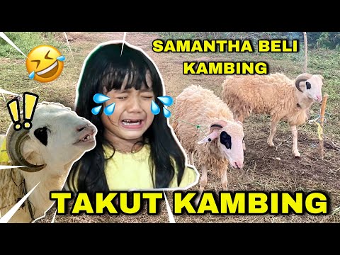 SAMANTHA SEDIH KAMBING QURBANYA DI POTONG 😥😰 #qurban #iduladha