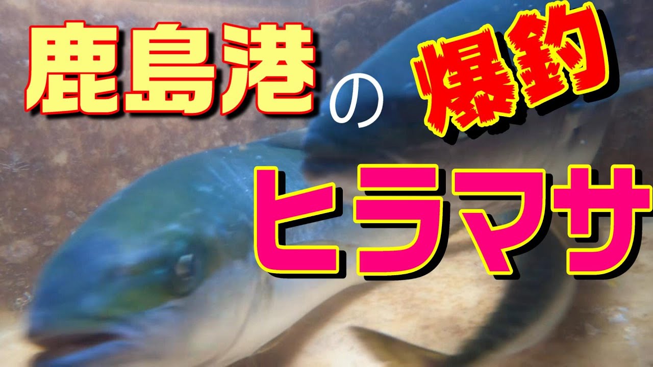 鹿島港魚釣園 ヨコの鉄柱ポイント ここはヒラマサパラダイスなんですよぉ 鹿島港温排水ポイント 取水口ポイント 南堤防ほか Youtube 鹿島港魚釣園 ヨコの鉄柱ポイント ここはヒラマサパラダイスなんですよぉ 鹿島港温排水ポイント 取水口ポイント 南堤防ほか Youtube
