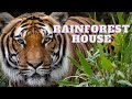 Tour of the rainforest house at tierpark berlin