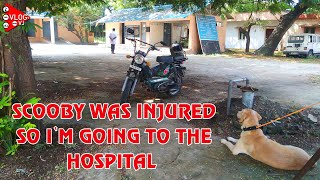 SCOOBY WAS INJURED SO I'M GOING TO THE HOSPITAL | VLOG WITH VJ | TAMILVLOG - 72