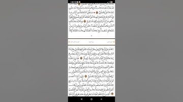 ما تيسر من سوره البقره من الايه 141 الى الآية 146