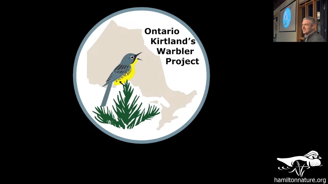 Bird Study Group: The Ontario Kirtland’s Warbler Project – Stewarding Recovery