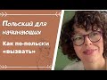 Как сказать по-польски "вызывать"? Ошибки в польском. Что на самом деле значит *вызывать по-польски?