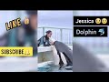 Jessica best moments with Orca| Orca the killer whale| Dolphin playing with Jessica| Viral accident