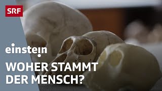 Die Wiege der Menschheit - Stammt der Mensch aus Afrika oder aus Europa? | Einstein | SRF