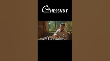 Real-Time Automatic Position Correction #chess #chessnut#chessnutmove