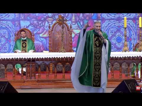 Brazilian priest gets shoved by woman in the middle of Mass