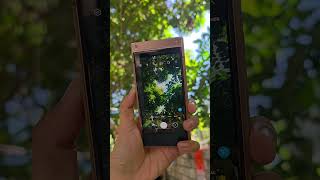 Quick camera test on Samsung W2019 #w2019 #y2k #folder #flipphone #samsung