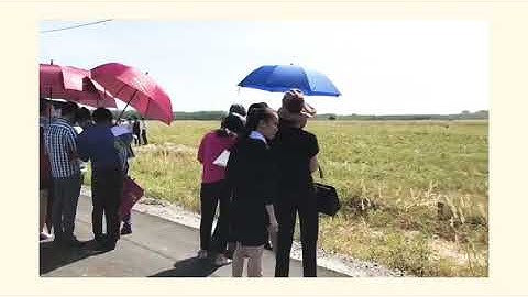 Thăm quan tiến độ hạ tầng Dự án Becamex