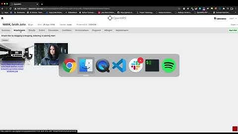 OpenMRS Micro-Frontends: Attachments Widget Demo