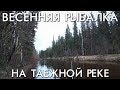 ТАЕЖНЫЙ НАЛИМ / ВЕСЕННЯЯ РЫБАЛКА НА ЗАКИДУШКИ НА ТАЕЖНОЙ РЕКЕ