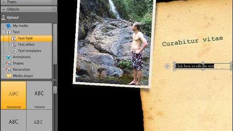 MAGIX Website Maker - Insert text to your site