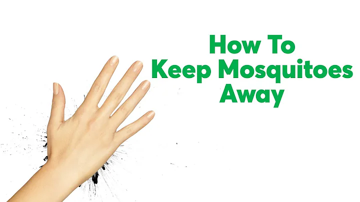 How to Keep Mosquitoes Away | Consumer Reports - DayDayNews
