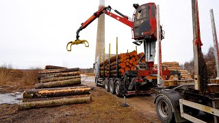 Loading different types of Timber under the Wind Turbine