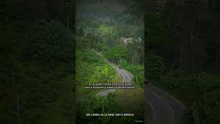🌍 Sri Lanka Ella Nine Arch Bridge, Sri Lanka — The View Nobody Talks About