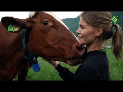 Video: Bruker økologiske bønder sprøytemidler?