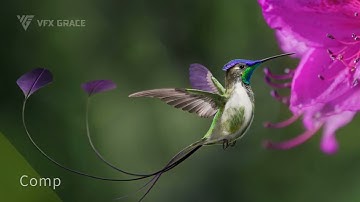 This wild hummingbird, is actually a masterpiece of CG technology? #blender  #cg #3dmodels