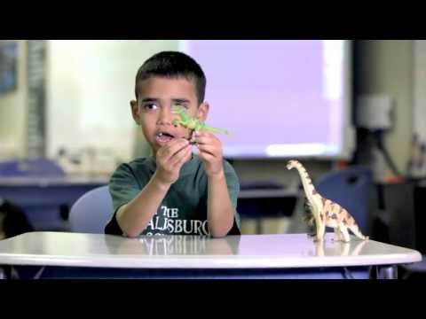 The Healdsburg School STEM program (Video 1)