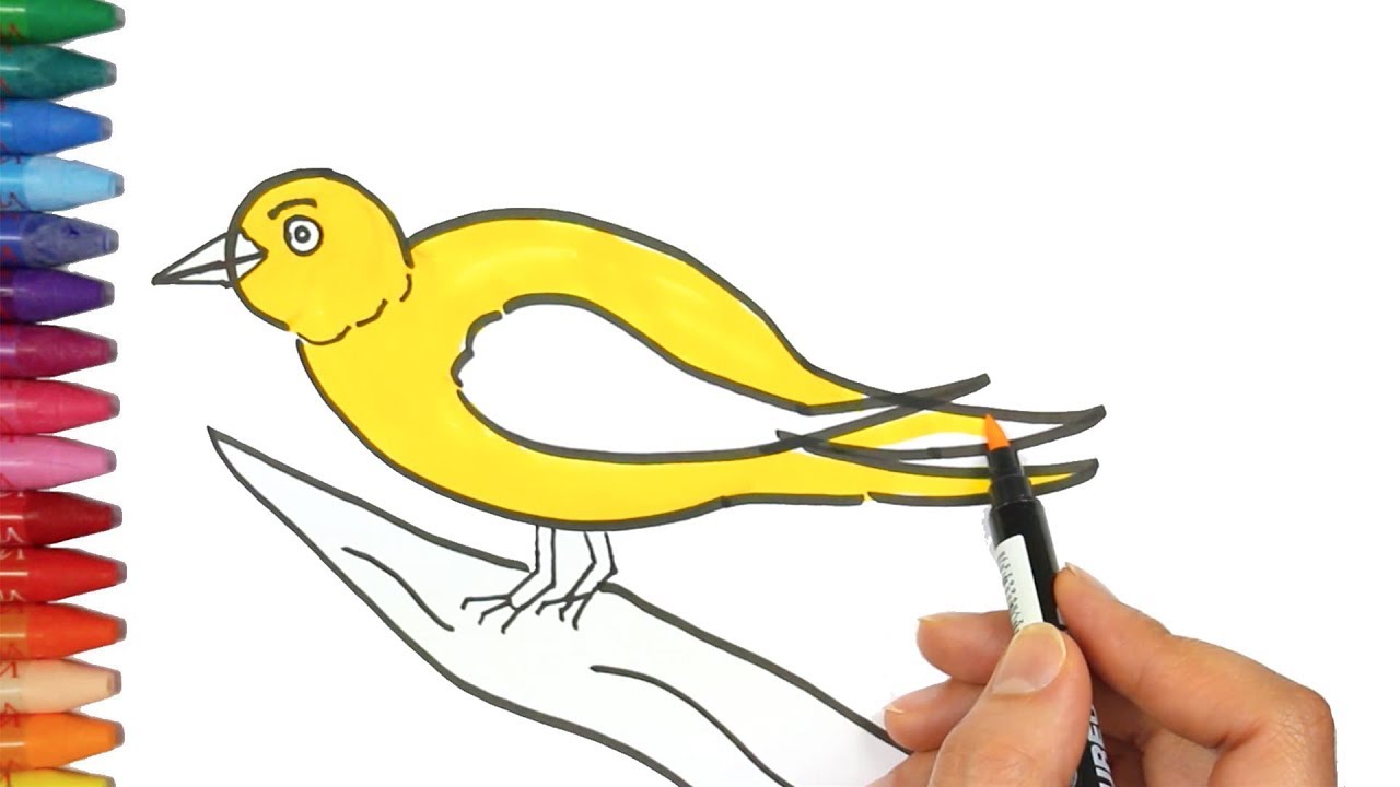 Come Disegnare Un Uccello Come Disegnare E Colora Per I Bambini Youtube