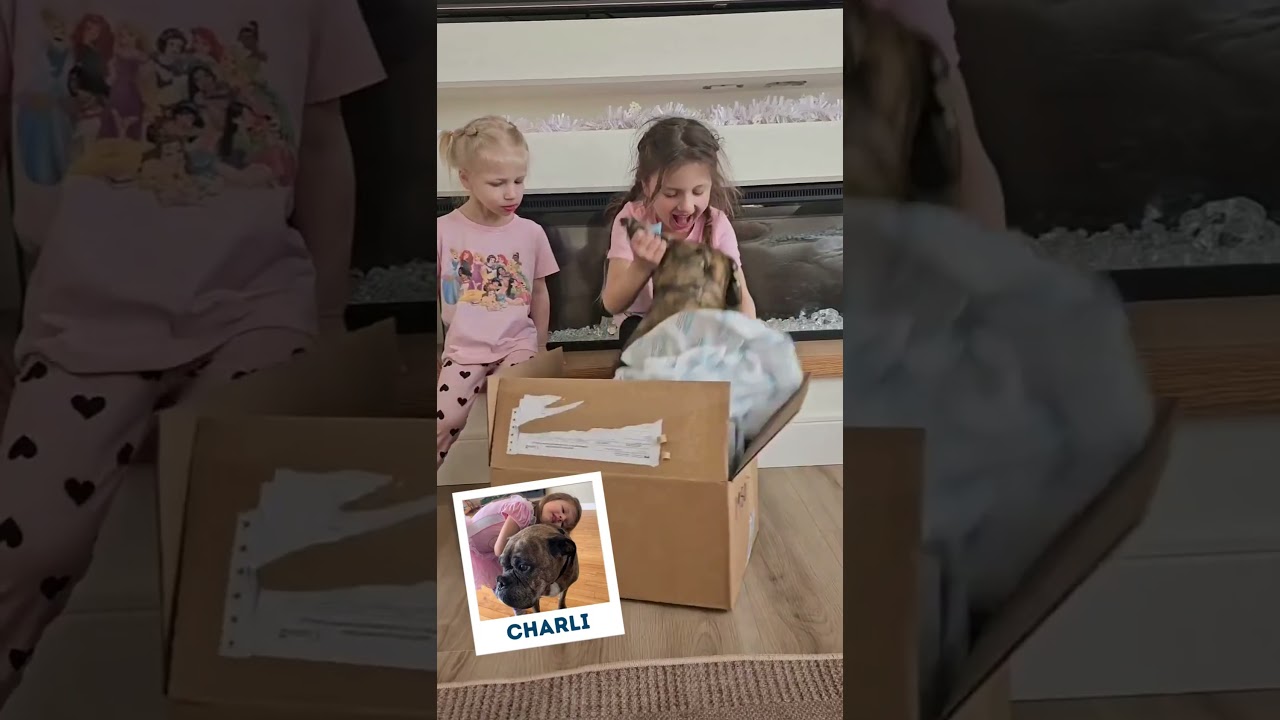 Unboxing Custom Stuffed Animals Of Their Pets | MyPetsies©