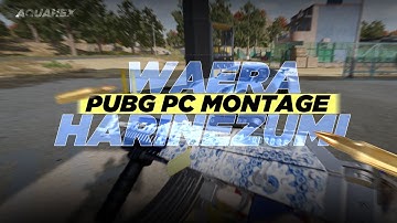 waera - harinezumi 🥀INSANE 1v4 Clutch Moments PUBG PC MONTAGE | Aquahex