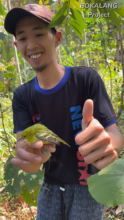 Mikat Burung SIRTU pakai Pulut.😁 (01) #petualangan #bolang #sarangburung #birds #survival