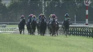 2020.05.24 Yushun Himba (Japanese Oaks) - Daring Tact