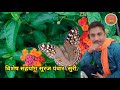 ||Barkha Batwani || (स्वामी का कब आना घर) || Latest Garhwali Song Keshar Panwar New Song 2021 || Mp3 Song