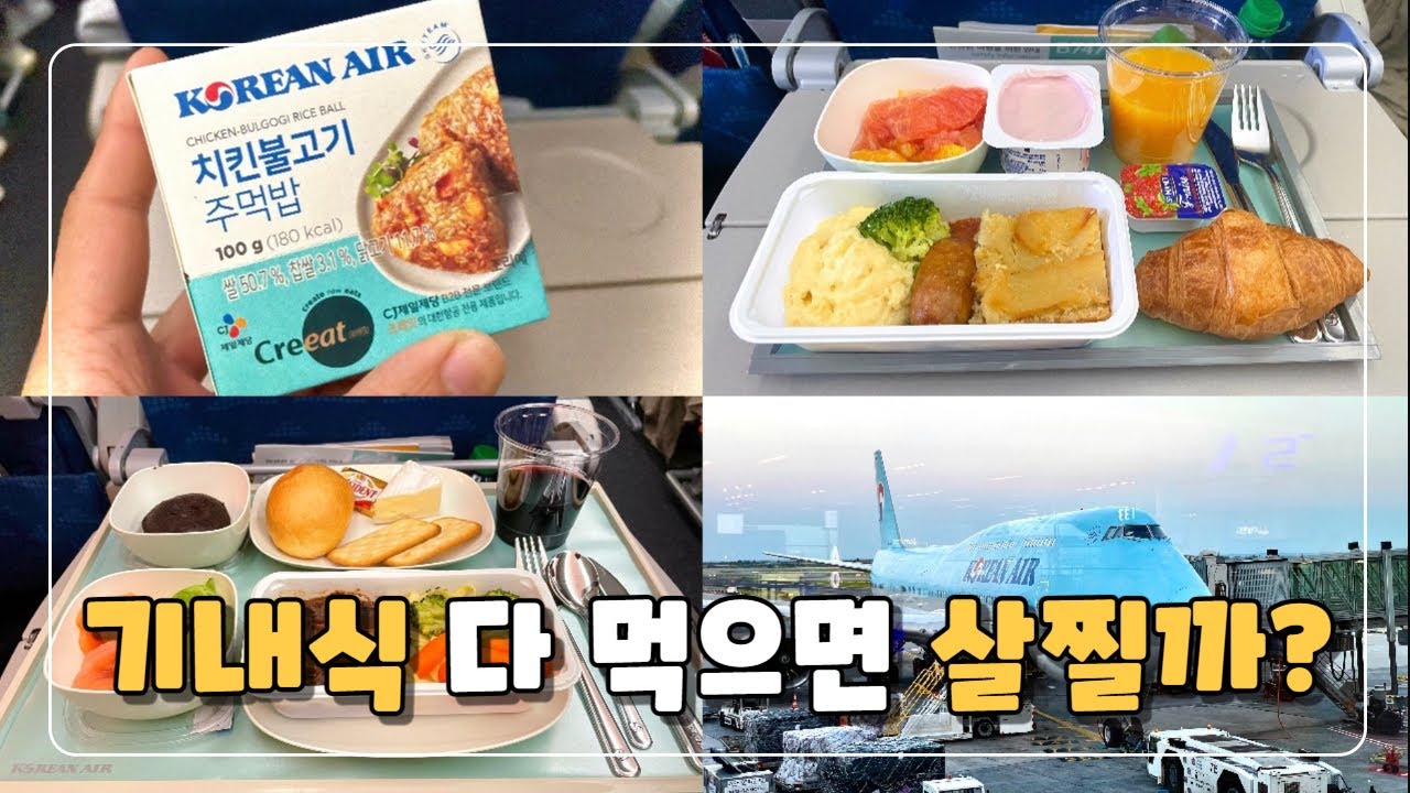 기내식 다 먹으면 살찔까? 칼로리는?