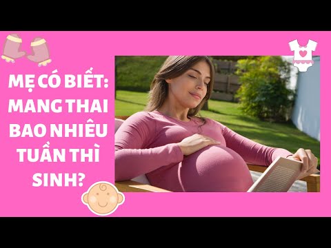 Video Mẹ bầu có biết mang thai bao nhiêu tuần thì sinh? TRAN... - youtube
