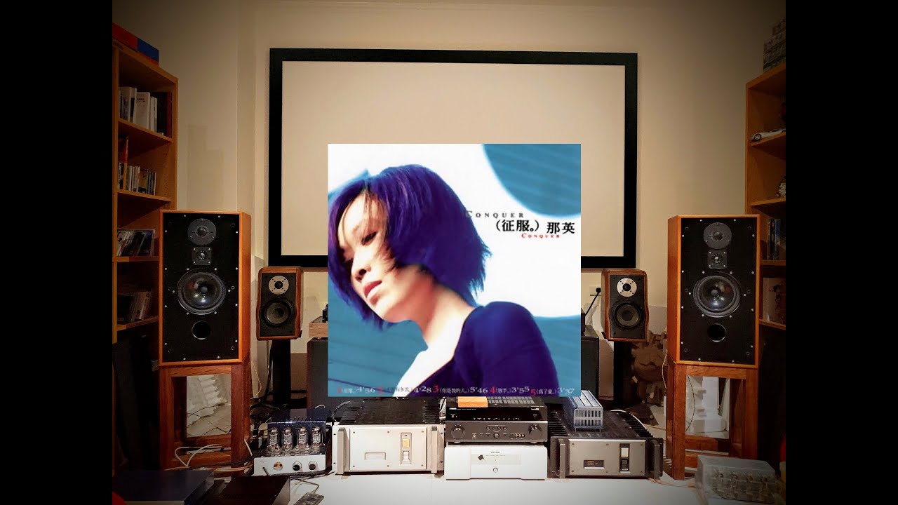 那英/不管有多苦-專輯:征服-曲目:2